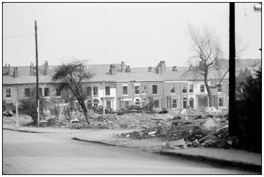 1973d.jpg